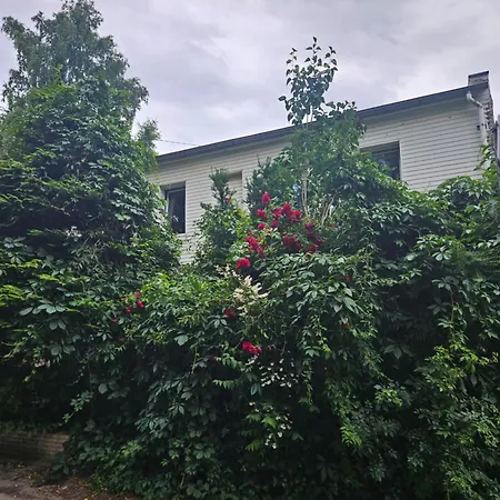 Apartment Ewa Orlowo